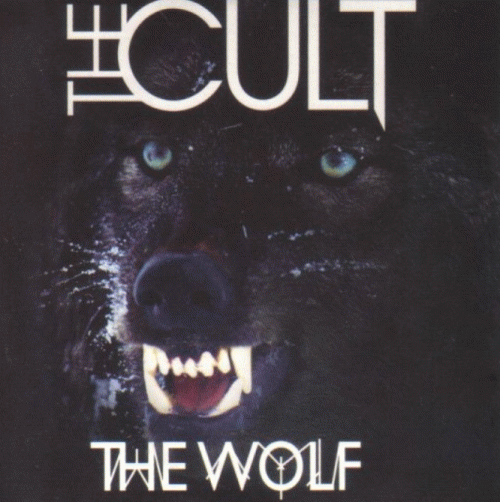 The Cult : The Wolf